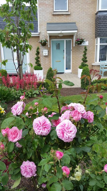No.5 Bed & Breakfast Kilcullen Eksteriør bilde
